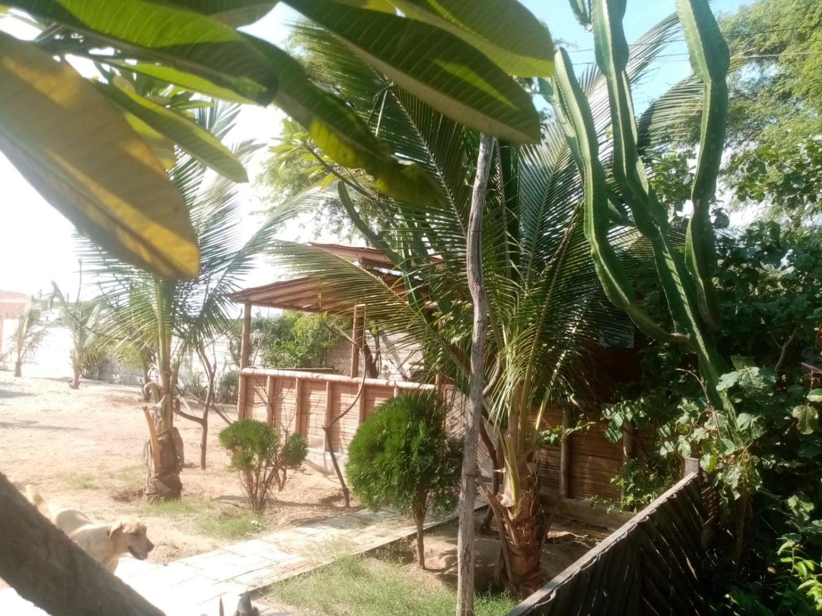 La Casa De Diego زوريتوس المظهر الخارجي الصورة